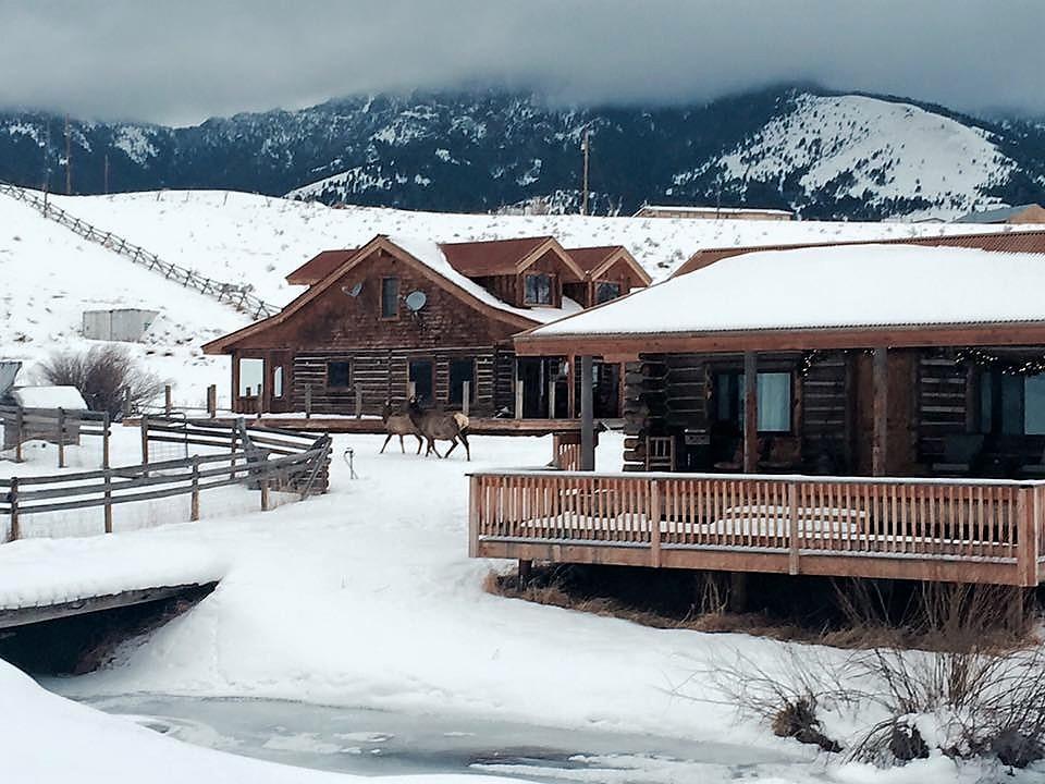 Creek Cabin 가디너 외부 사진